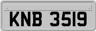 KNB3519