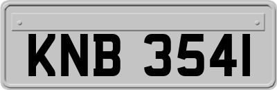 KNB3541