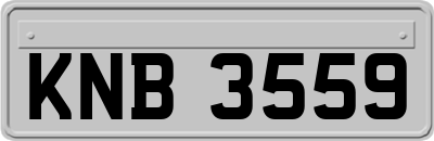 KNB3559