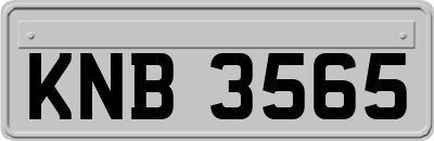 KNB3565