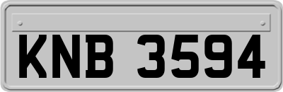 KNB3594