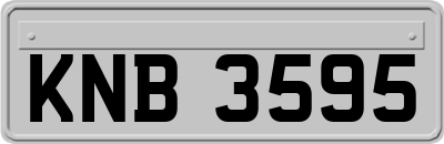 KNB3595