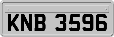 KNB3596