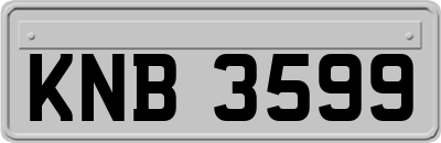 KNB3599