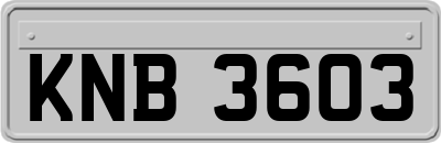 KNB3603