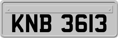 KNB3613