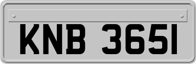 KNB3651