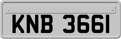 KNB3661