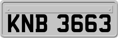 KNB3663