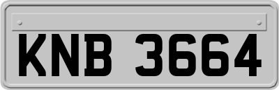 KNB3664