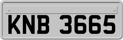 KNB3665