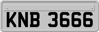 KNB3666