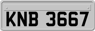 KNB3667