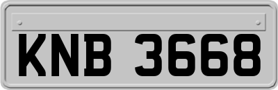 KNB3668