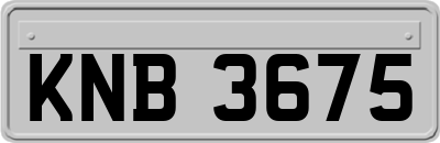 KNB3675