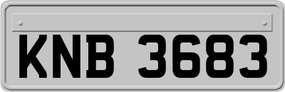 KNB3683