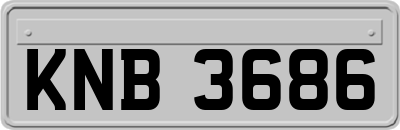 KNB3686