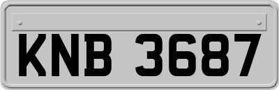 KNB3687