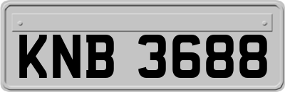 KNB3688