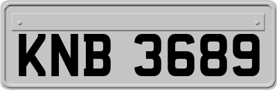 KNB3689