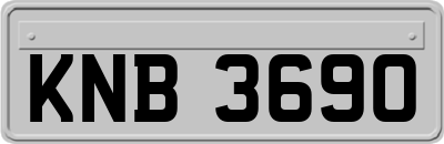 KNB3690