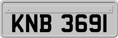 KNB3691