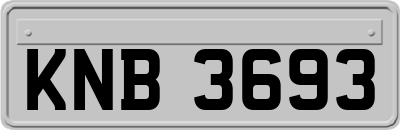 KNB3693