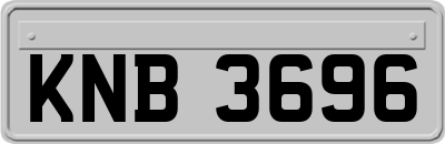 KNB3696