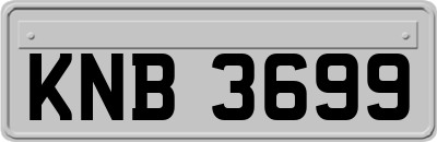 KNB3699