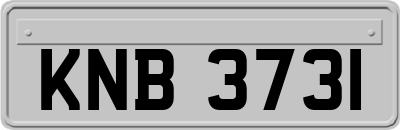 KNB3731