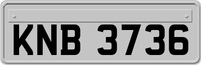 KNB3736