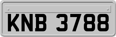 KNB3788