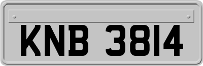 KNB3814