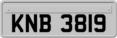 KNB3819