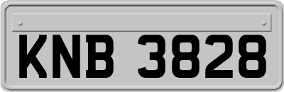 KNB3828