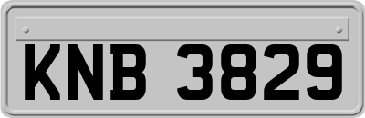 KNB3829