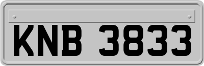 KNB3833