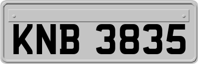 KNB3835