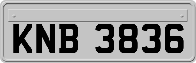 KNB3836