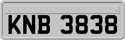 KNB3838