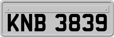 KNB3839