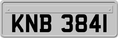 KNB3841