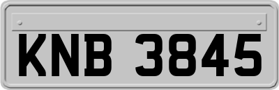 KNB3845