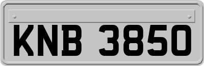 KNB3850