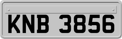 KNB3856