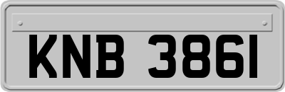 KNB3861