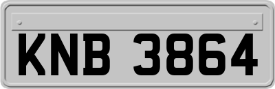 KNB3864