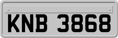 KNB3868