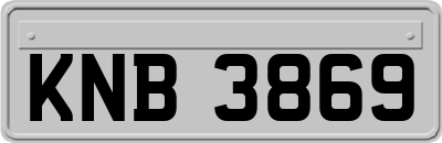 KNB3869