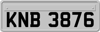 KNB3876